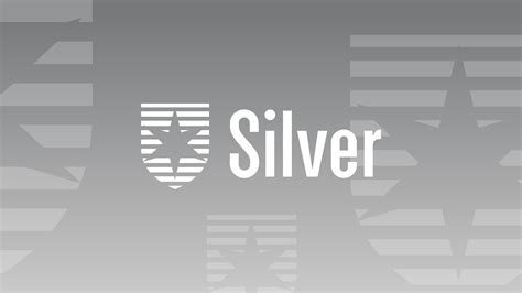 contrafund performance|fidelity vip contrafund morningstar rating.